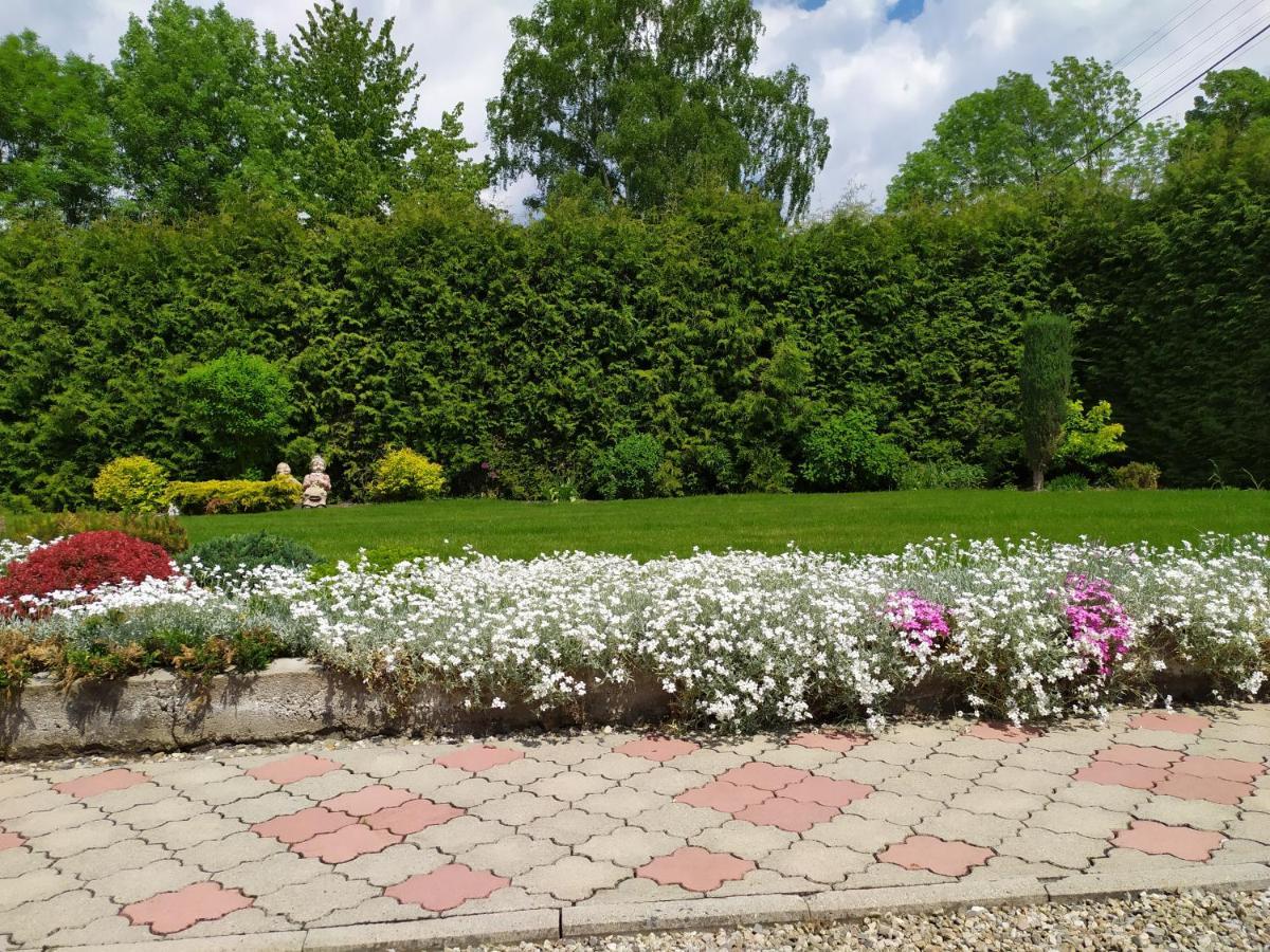 Apartmany Okoun Velké Losiny Εξωτερικό φωτογραφία